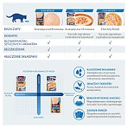 INABA CIAO Bulion o smaku kurczaka z łososiem - przysmak dla kotów - 40g