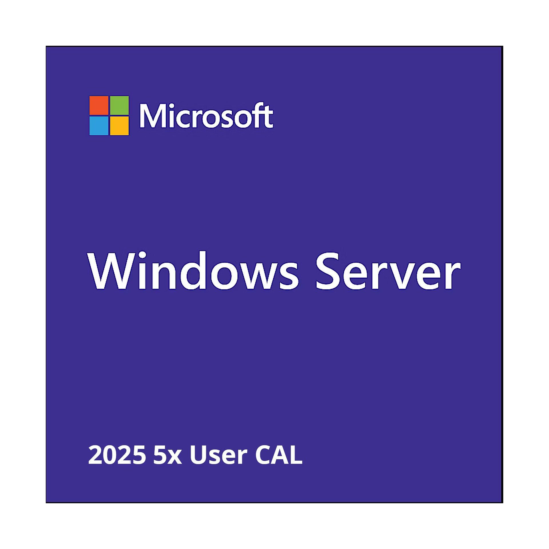Microsoft Windows Svr CAL 2025 PL Clt User CAL OEM