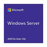 Microsoft Windows Svr CAL 2025 PL Clt User CAL OEM