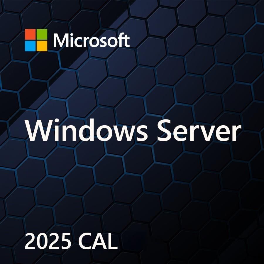 MS Windows Svr CAL 2025 PL Clt Device CAL OEM