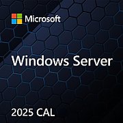 MS Windows Svr CAL 2025 PL Clt Device CAL OEM
