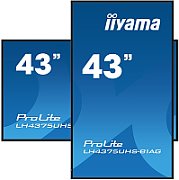 IIYAMA IIYAMA 108cm  (43 ) LH4375UHS-B1AG 16:9 DVI+HDMI+USB IPS retail