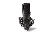 Marantz USB condenser microphone MPM2000U