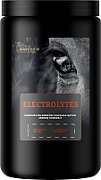 BIOFEED Horse&Pony Electrolytes - electrolytes for horses - 900g