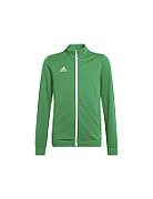 adidas Entrada 22 Track Jacket green HI2138 116cm