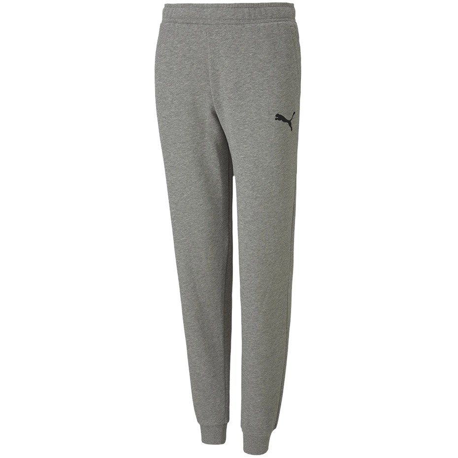 Puma teamGOAL 23 Casuals Pants Jr Grey 656713 33 128