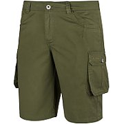 Men's shorts Alpinus Hekla green SI18154 XL