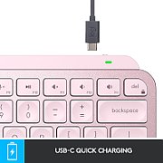 MXKEYS MINI WRLS ILLUMINATED KB/ROSE - DEU - CENTRAL