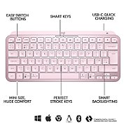 MXKEYS MINI WRLS ILLUMINATED KB/ROSE - DEU - CENTRAL