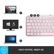 MXKEYS MINI WRLS ILLUMINATED KB/ROSE - DEU - CENTRAL