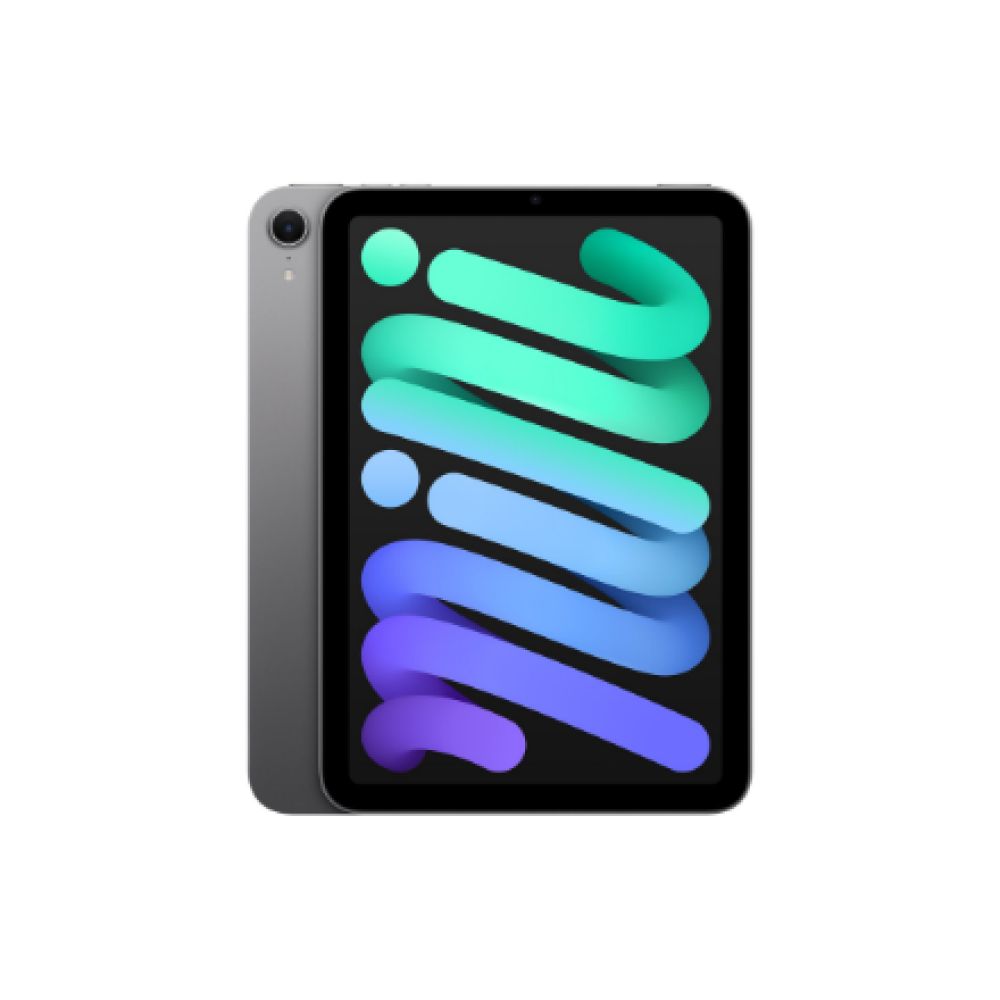 Apple iPad mini Wi-Fi 128GB - Space Grey