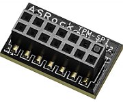 TPM-SPI/INFINEON/BULK