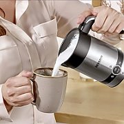 Severn Milk Frother stainless steel SM 3584 (SM3584)
