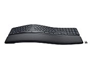 ERGO K860 FOR BUSINESS-GRAPHITE/PAN - NORDIC