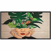 43 D-Line, UHD, 24/7 landscape & portrait, 500cd, Failover, Power by Android 11, CMND (Control and Create), Crestron Connected, WiFi, HTML5...