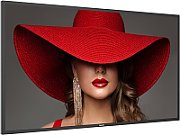 43 D-Line, UHD, 24/7 landscape & portrait, 500cd, Failover, Power by Android 11, CMND (Control and Create), Crestron Connected, WiFi, HTML5...