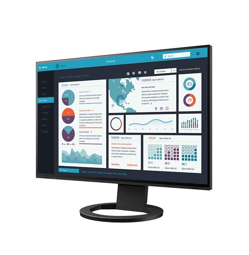 Monitor EIZO FlexScan EV2495-BK - 24.1 inch (61.2 cm) - 1920 x 1200 pixels - WUXGA - LED - 5 ms