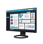Monitor EIZO FlexScan EV2495-BK - 24.1 inch (61.2 cm) - 1920 x 1200 pixels - WUXGA - LED - 5 ms