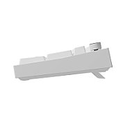 Tastatura gaming mecanica cu fir Genesis Thor 404, iluminare RGB, 107 taste, 11 butoane multimedia, alb