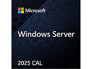 Windows Server CAL 2025 Polish 1pk DSP OEI 1 Clt Device CAL