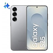 Samsung Galaxy S25 5G Enterprise Edition (12+256GB)