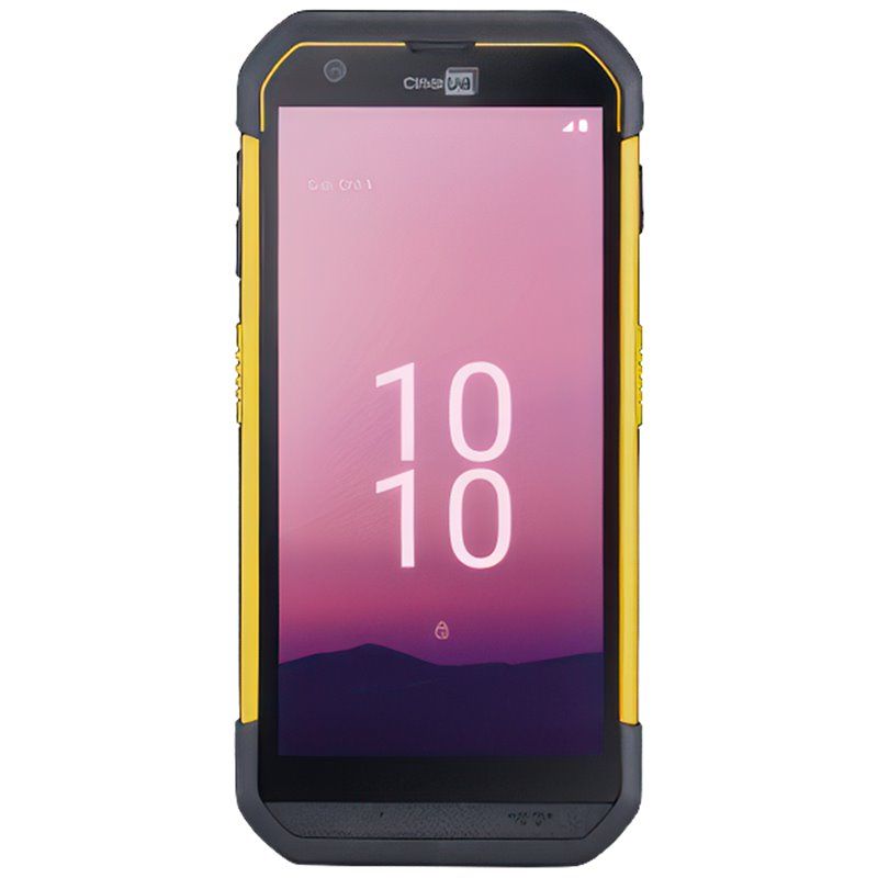 CipherLab RS36 series, 2D, SE5500, 14 cm (5.5''), GPS, USB-C, BT, Wi-Fi, 4G, NFC, Android, kit (USB)