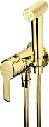 Concealed bidet mixer with bidetta shower head