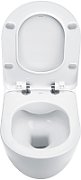 Rimless toilet