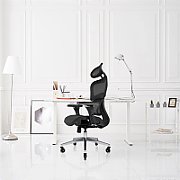 Ergonomic office chair ERGO 500 black