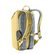 Stepout 16 ginger-turmeric