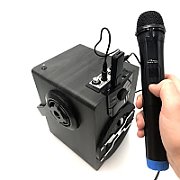 Wireless karaoke microphones ACCENT PRO MT395