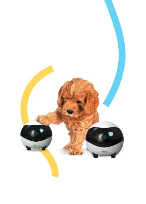 Enabot EBO SE  Robot IP Camera Compact N/A MP N/A 16GB external memory  support 256GB at maximum