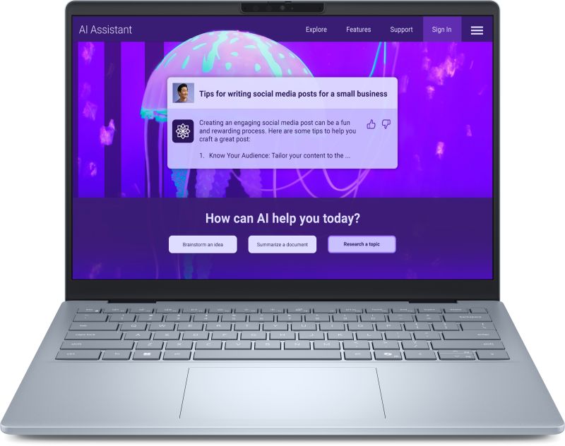 Laptop Dell 14 Plus DB14250, 14 inch 2560 x 1600, Intel 258V (8 C / 8 T, 2.2 GHz - 4.8 GHz, 12 MB cache), 32 GB LPDDR5X, 1 TB SSD, Intel Arc Graphics, Windows 11 Pro