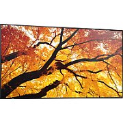 M552 55IN LFD UHD D-LED 550CD/QM 24/7 SDM CM SLOT