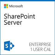 CSP SharePoint Server D-CAL 2019 EDU [P]