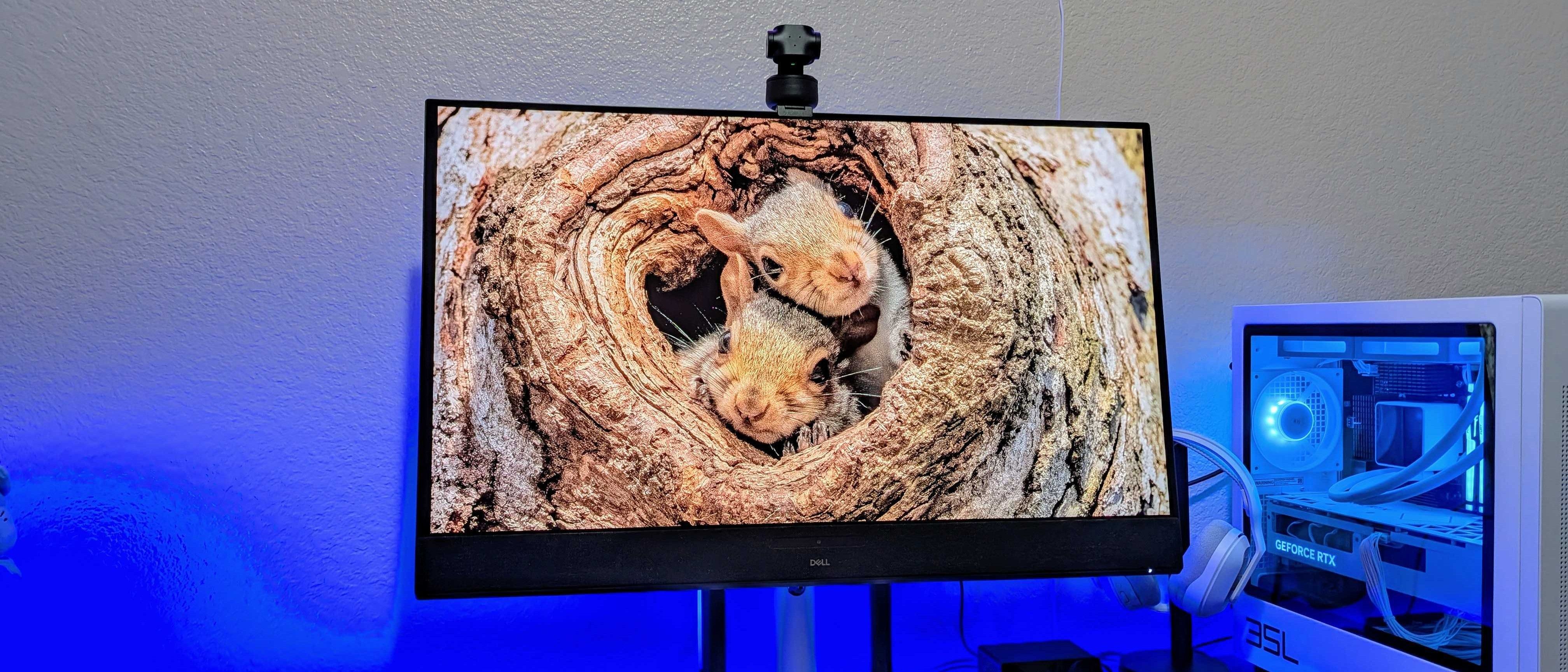 DELL 32 PLUS 4K QD-OLED/MONITOR- S3225QC 32IN 16:9 0.03M