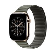 Apple Watch 46mm Magnetic Link: Sage Gray Magnetic Link - S/M