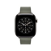 Apple Watch 42mm Modern Buckle: Sage Gray Modern Buckle - Medium
