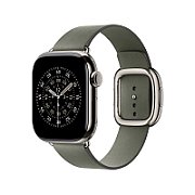 Apple Watch 42mm Modern Buckle: Sage Gray Modern Buckle - Medium