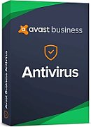 Business Antivirus Managed (1 year)