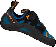 Tarantula cosmic blue clone