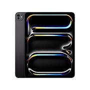 IPAD PRO 13 WIFI+CELL 256GB STD/SPACE BLACK