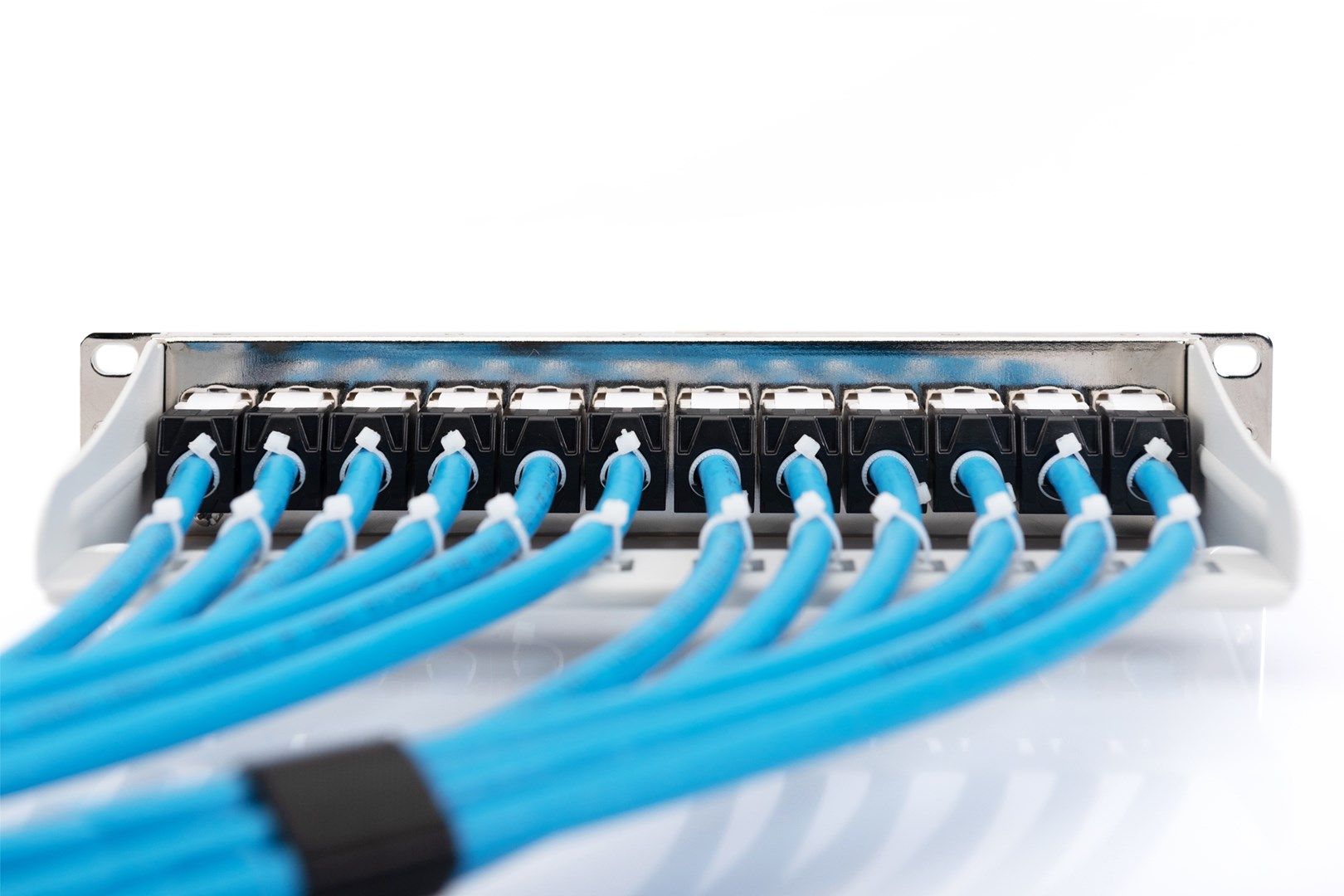 DIGITUS network cable - 100m - light blue