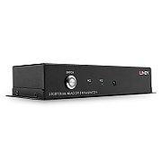 DisplayPort 1.2 switch with dual head