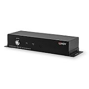 DisplayPort 1.2 switch with dual head