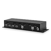 DisplayPort 1.2 switch with dual head