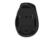 HP Tilt Ergonomic Mouse 725M