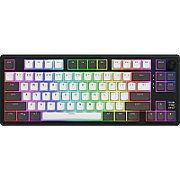 HATOR Skyfall Pro Wireless 80. Keyboard form factor: 80%. Keyboard style: Straight. Connectivity technology: Wired & Wireless, Device interface: USB + RF Wireless + Bluetooth, Keyboard key switch: Mechanical, Keyboard layout: QWERTY. Backlight type: RGB LED. Recommended usage: Gaming. Product