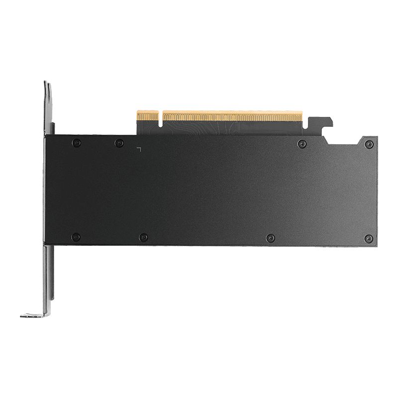 PNY RTX PRO 2000 Blackwell NVIDIA 16 Giga Bites GDDR7