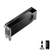 PNY RTX PRO 4000 Blackwell SFF VCNRTXPRO4000LP-PB